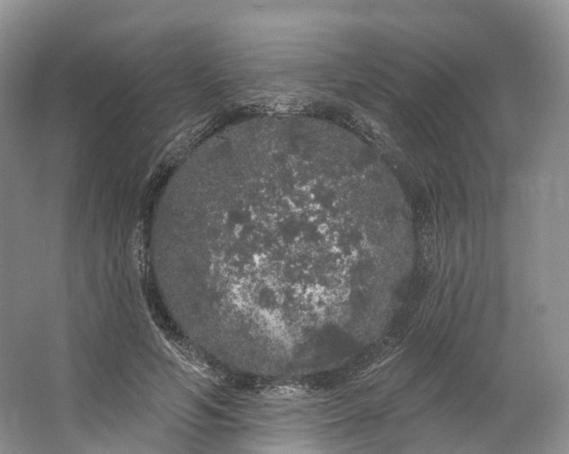 X0000064720594200602241642