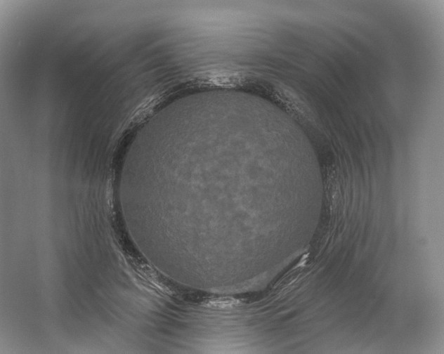 X0000064720595200602241642