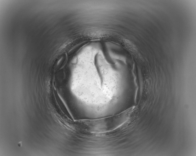 X0000064720596200602241642