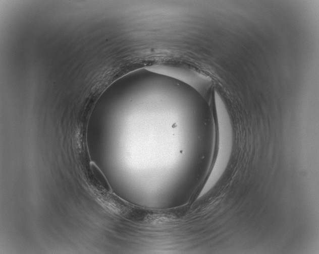 X0000064720597200602241642