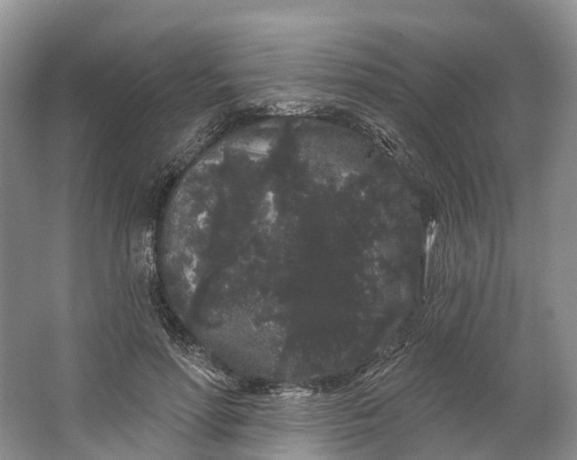 X0000064720598200602241642