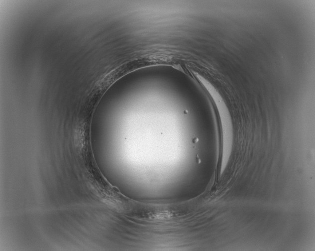 X0000064720600200602241642