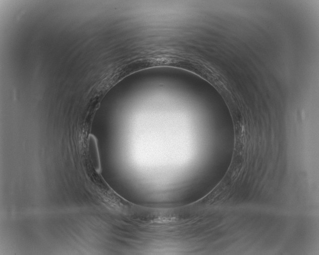 X0000064720601200602241642