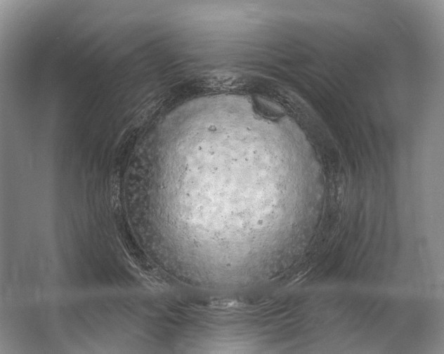 X0000064720602200602241642