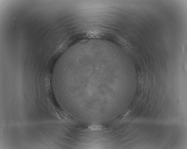 X0000064720603200602241642