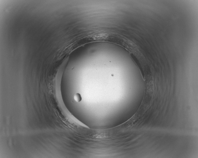 X0000064720604200602241642