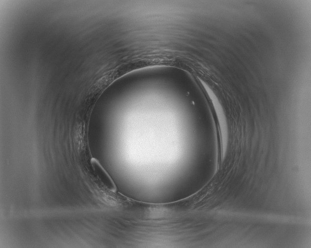 X0000064720605200602241642