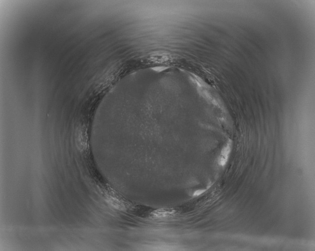 X0000064720606200602241642