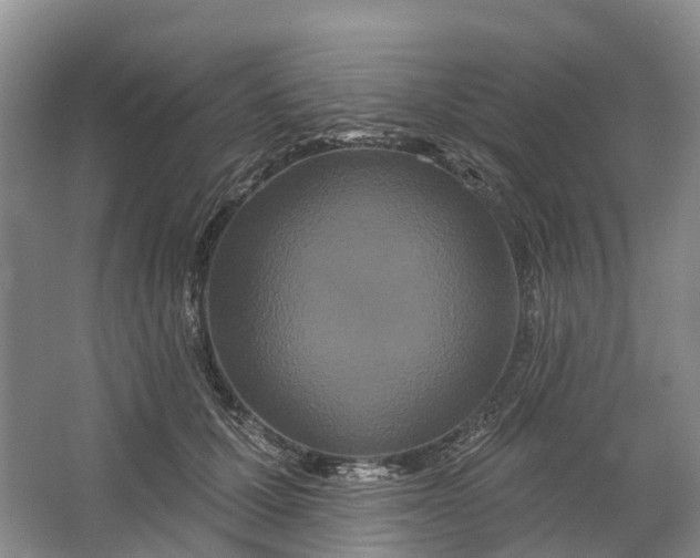 X0000064720607200602241642