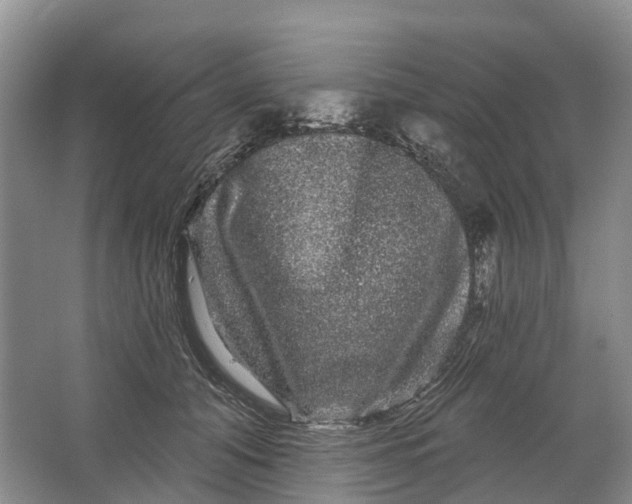 X0000064720608200602241642