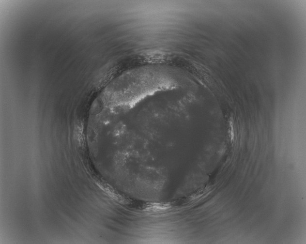 X0000064720610200602241642