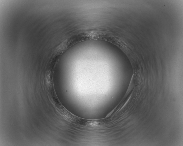 X0000064720611200602241642