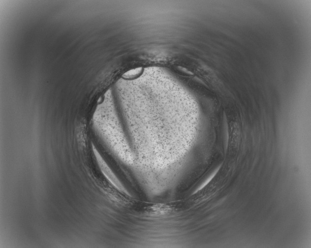 X0000064720612200602241642