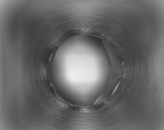 X0000064720613200602241642