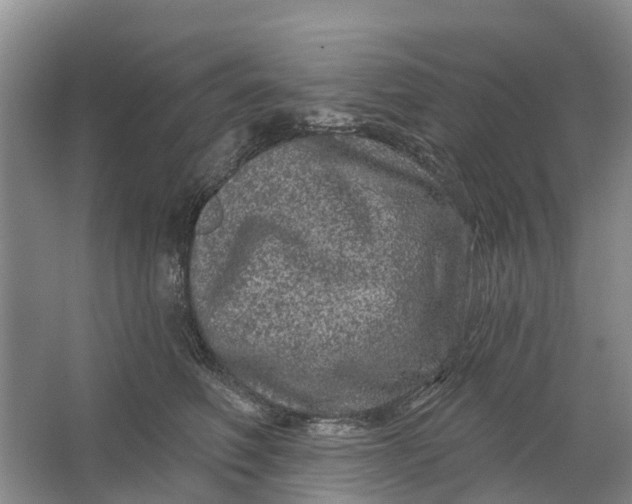 X0000064720614200602241642