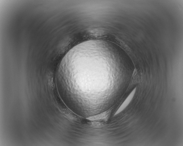 X0000064720615200602241642