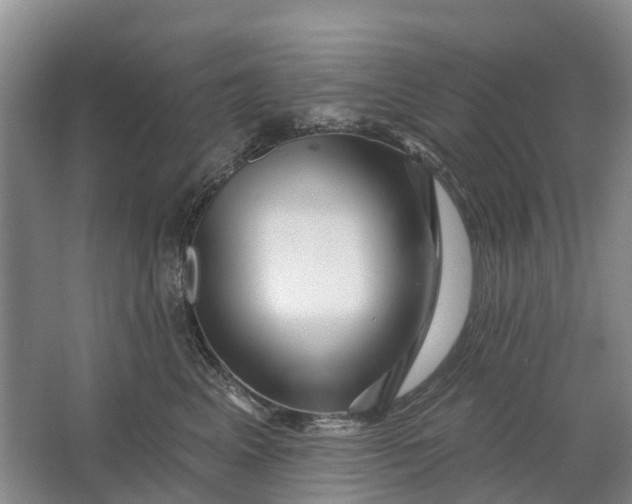 X0000064720617200602241642