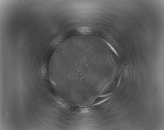 X0000064720618200602241642