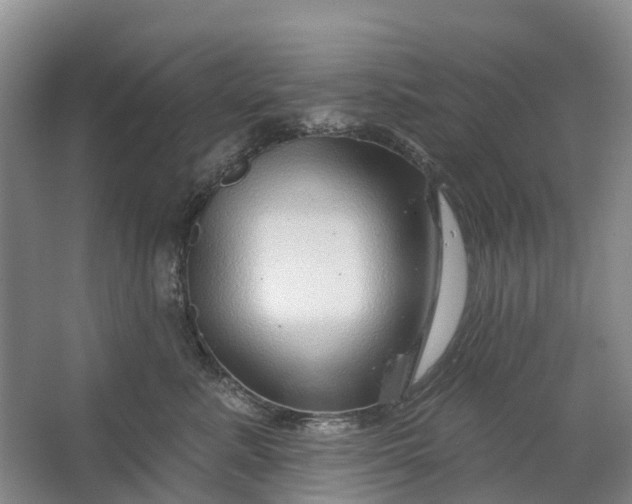 X0000064720619200602241642