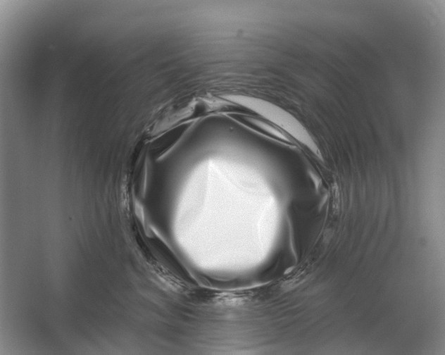 X0000064720620200602241642