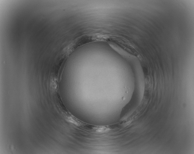 X0000064720621200602241642