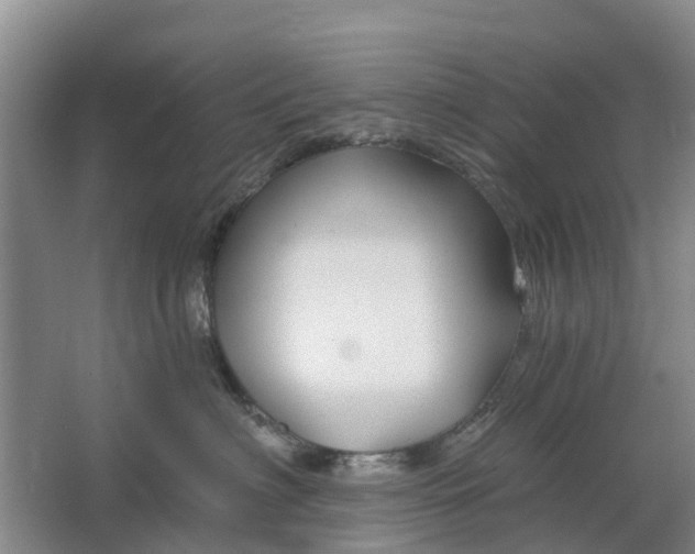 X0000064720622200602241642