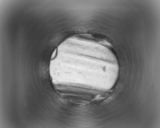 X0000064720624200602241642