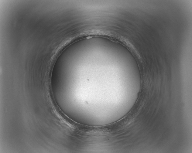 X0000064720625200602241640