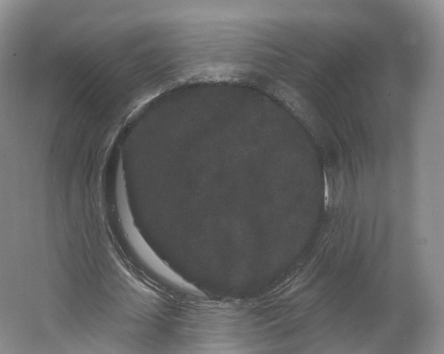 X0000064720627200602241640