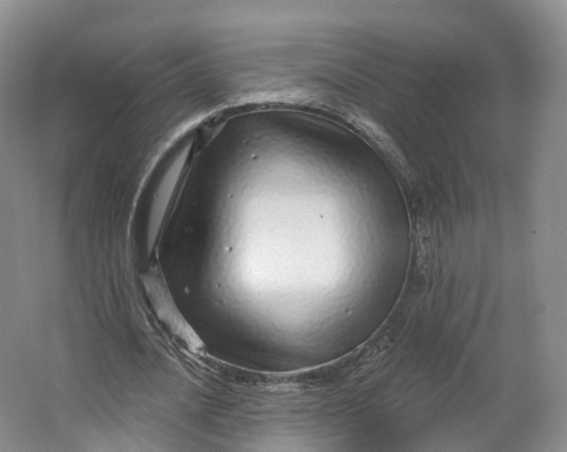 X0000064720628200602241640