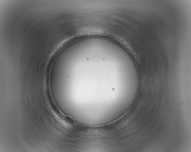 X0000064720629200602241640