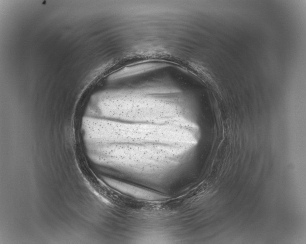 X0000064720630200602241641