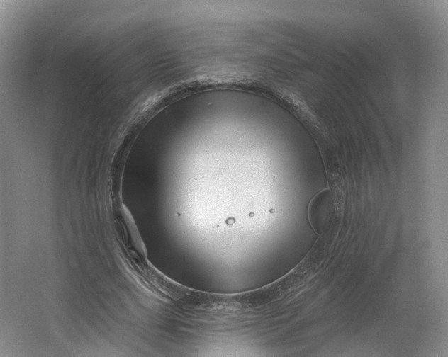 X0000064720631200602241641