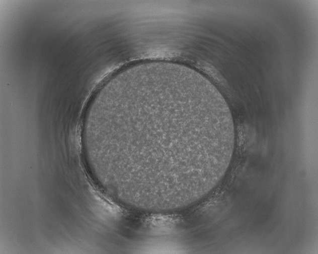 X0000064720632200602241641