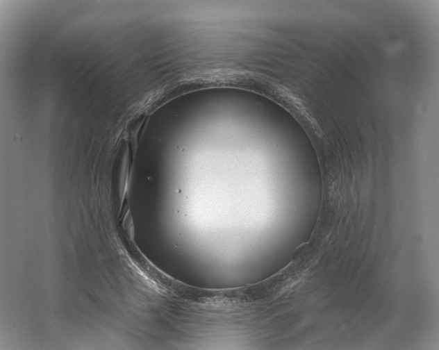 X0000064720633200602241641