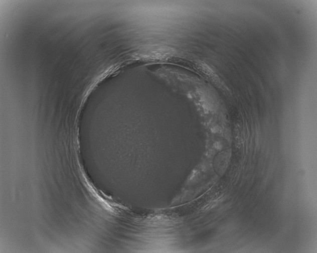 X0000064720634200602241641