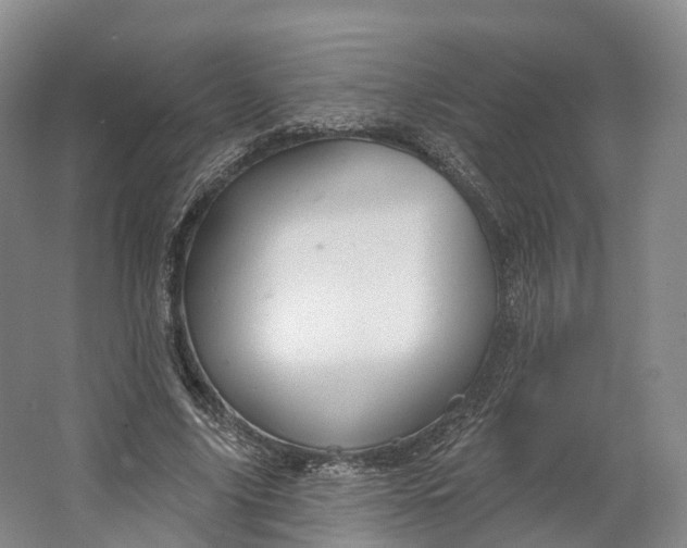 X0000064720635200602241641