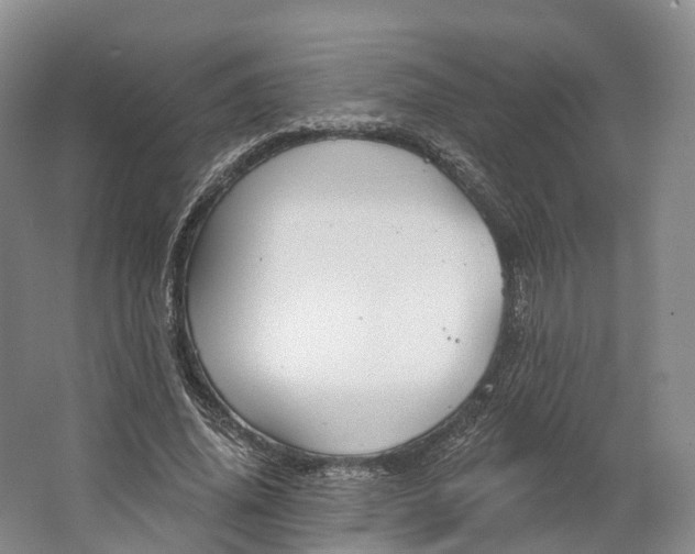 X0000064720636200602241641