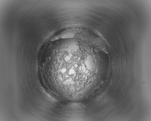 X0000064720637200602241641