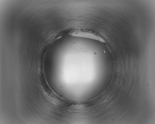 X0000064720639200602241641