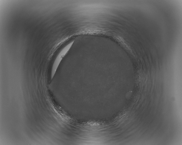 X0000064720640200602241641