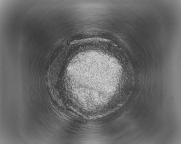 X0000064720641200602241641