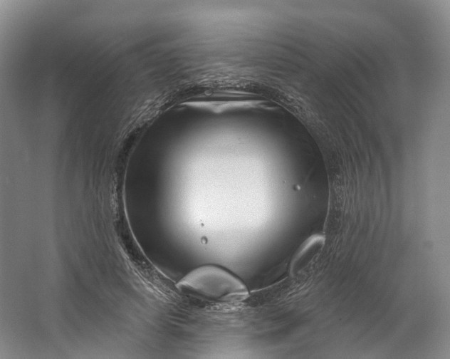 X0000064720642200602241641