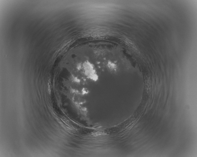 X0000064720644200602241641