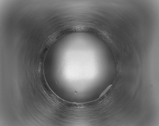 X0000064720645200602241641