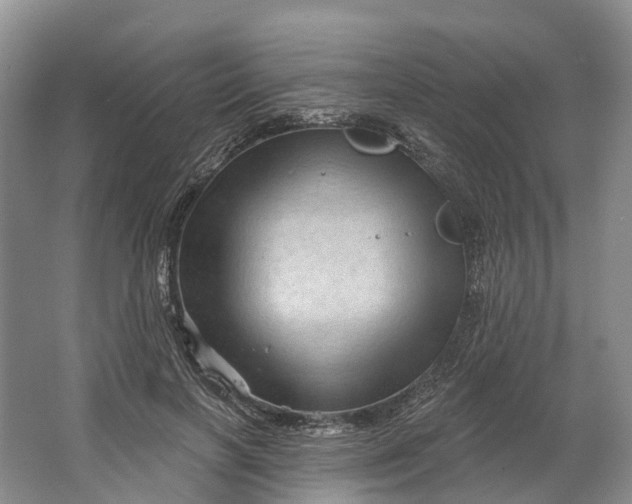 X0000064720646200602241641