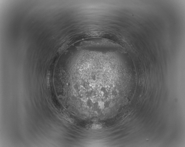 X0000064720647200602241641