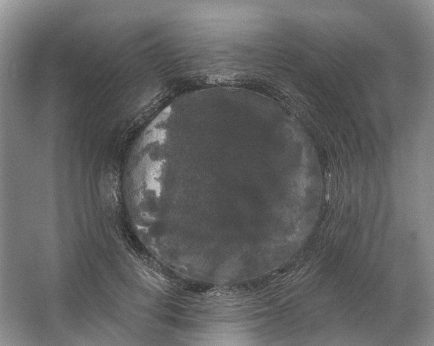 X0000064720648200602241641