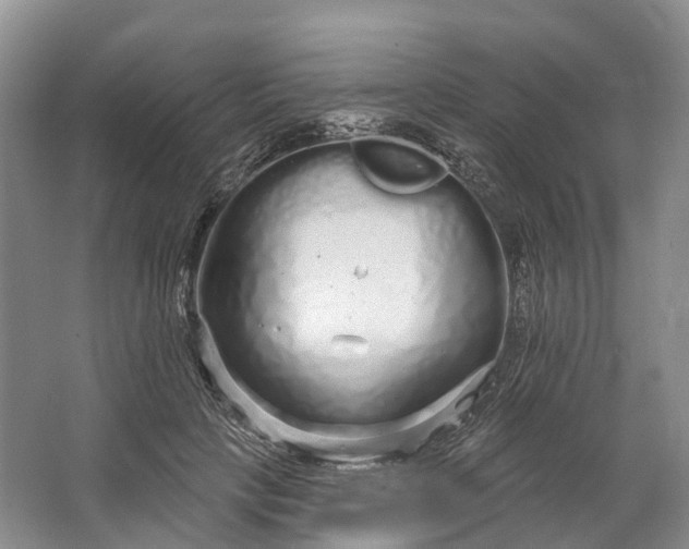 X0000064720649200602241641