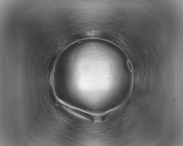 X0000064720651200602241641